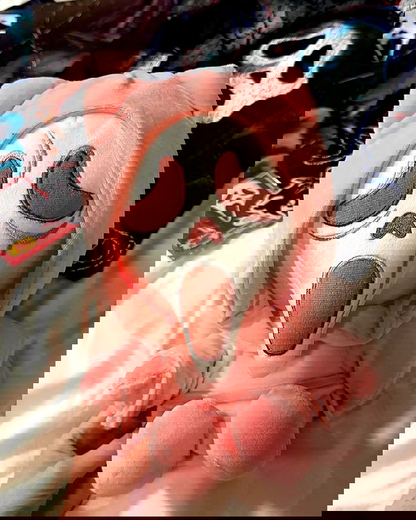 silkton image ~ Altpins