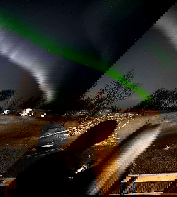 silkton image ~ Altpins