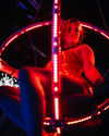 sinethicsofficial Altpins Profile Picture
