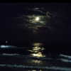 skyler._.nix Altpins Profile Picture