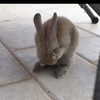 skyler._.nix Altpins Profile Picture