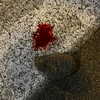 skyler._.nix Altpins Profile Picture