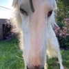 skyxbugg Altpins Profile Picture