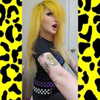 skyxbugg Altpins Profile Picture