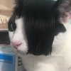 skyyy_babyyy3 Altpins Profile Picture