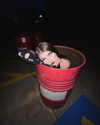 skyyy_babyyy3 Altpins Profile Picture