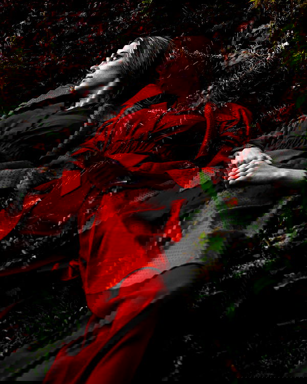 smashedely smashedely archive image