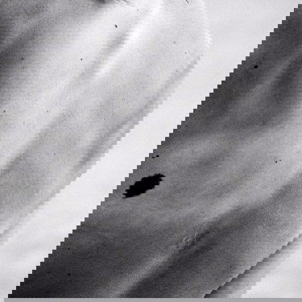 smashedely smashedely archive image