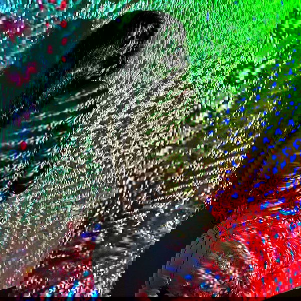 smashedely smashedely archive image