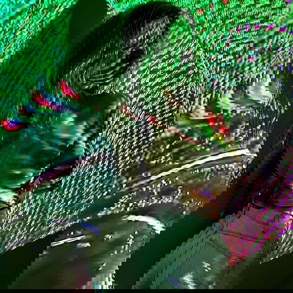 smashedely smashedely archive image