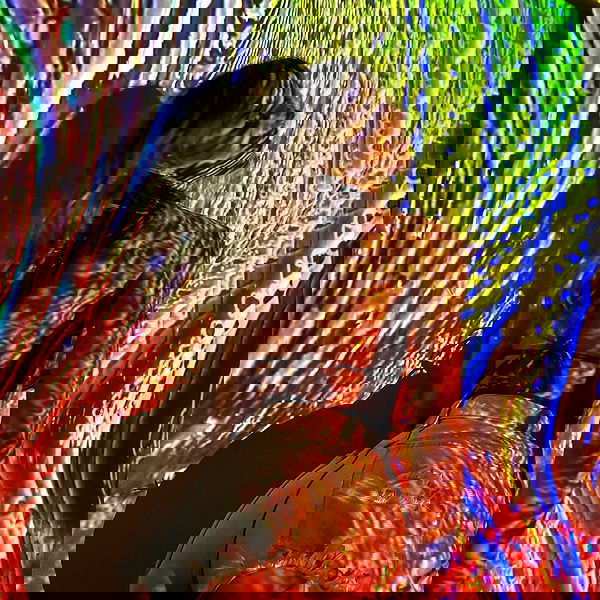 smashedely smashedely archive image