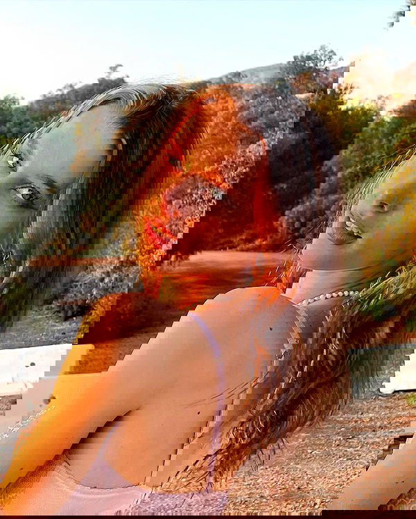 smashedely smashedely archive image