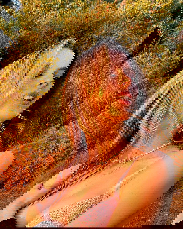 smashedely smashedely archive image