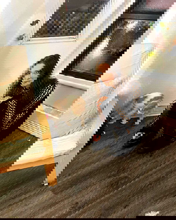 smashedely smashedely archive image