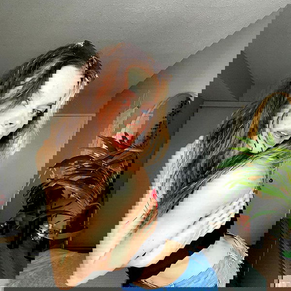 smashedely smashedely archive image