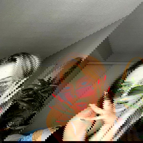 smashedely smashedely archive image