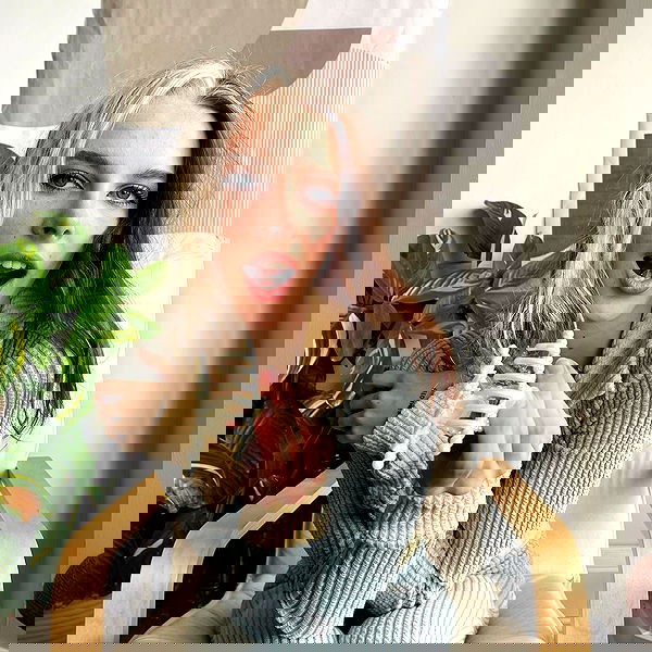 smashedely smashedely archive image