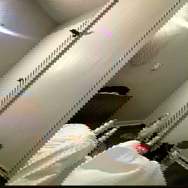 smashedely smashedely archive image