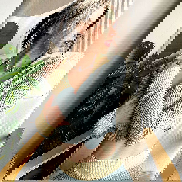 smashedely smashedely archive image