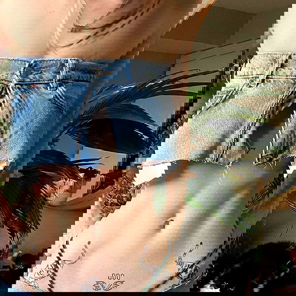 smashedely smashedely archive image