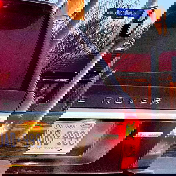 smashedely smashedely archive image