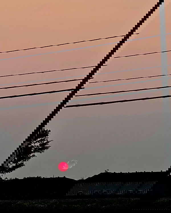 smashedely smashedely archive image