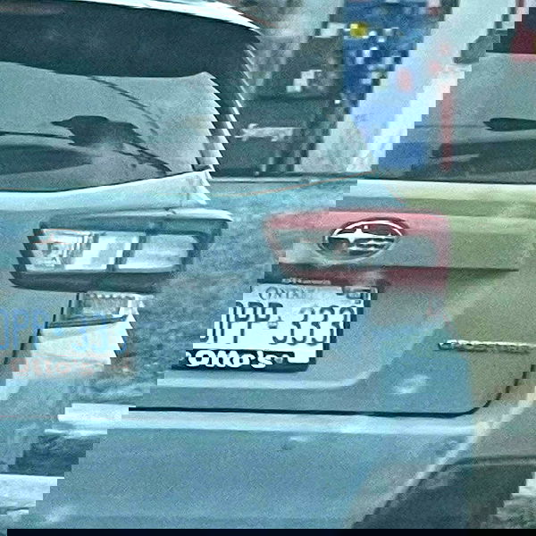 smashedely smashedely archive image