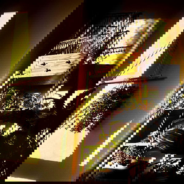 smashedely smashedely archive image