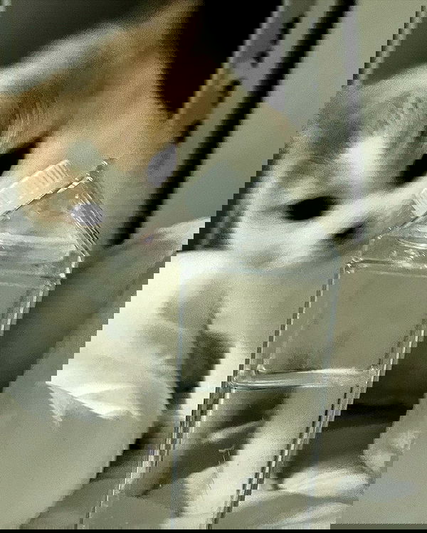 smashedely smashedely archive image