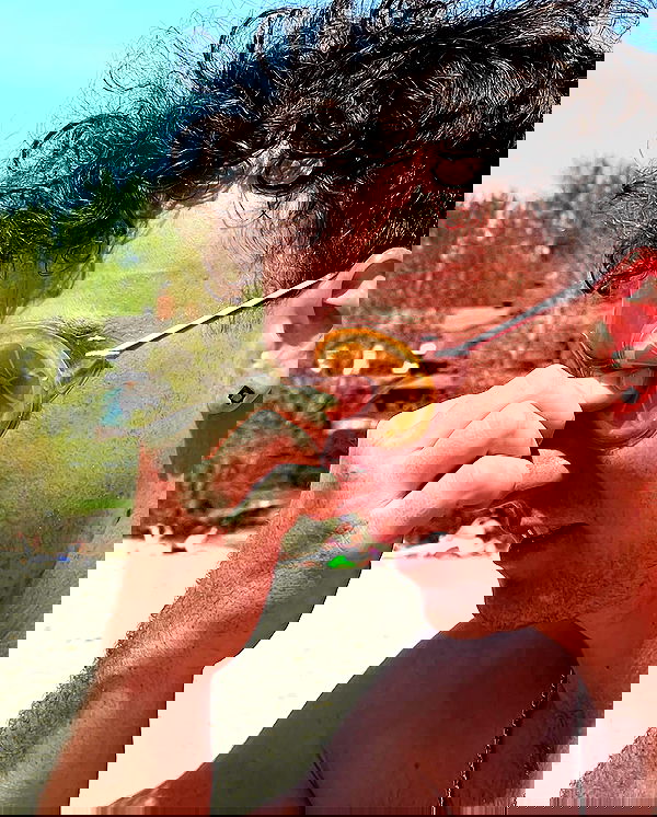 smashedely smashedely archive image