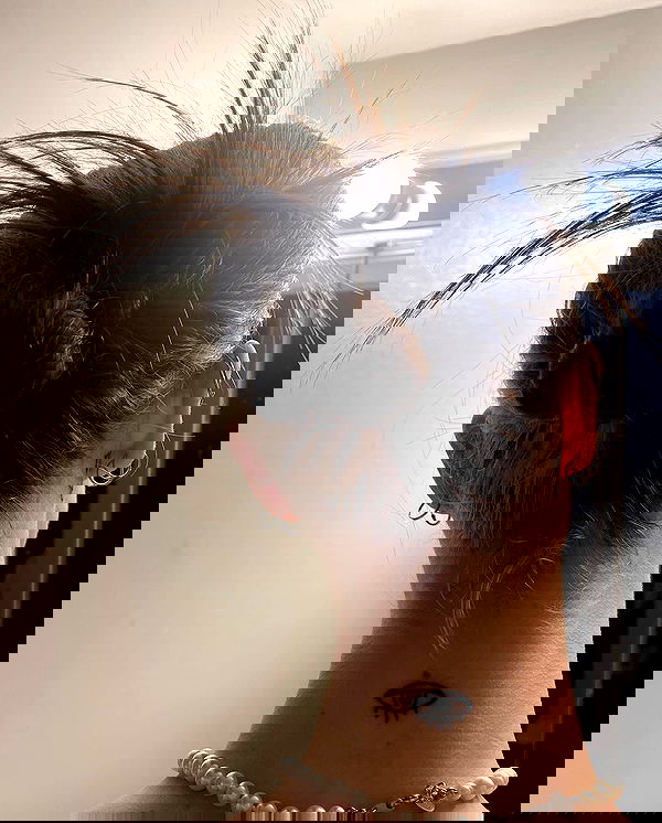 smashedely smashedely archive image