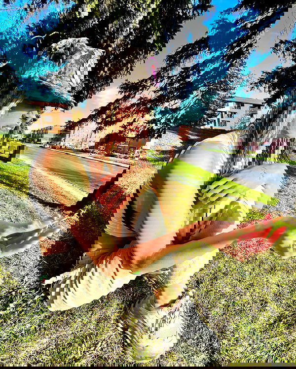 smashedely smashedely archive image