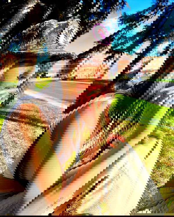 smashedely smashedely archive image