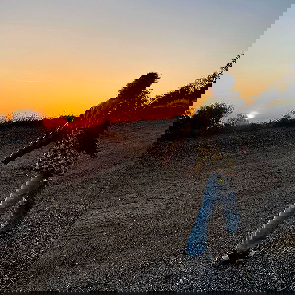 smashedely smashedely archive image