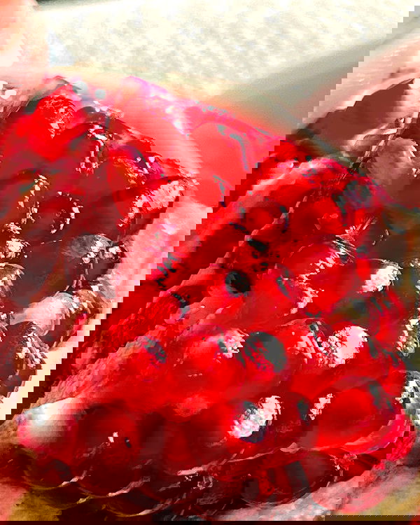 smashedely smashedely archive image