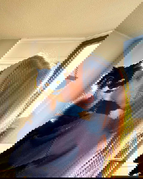 smashedely smashedely archive image