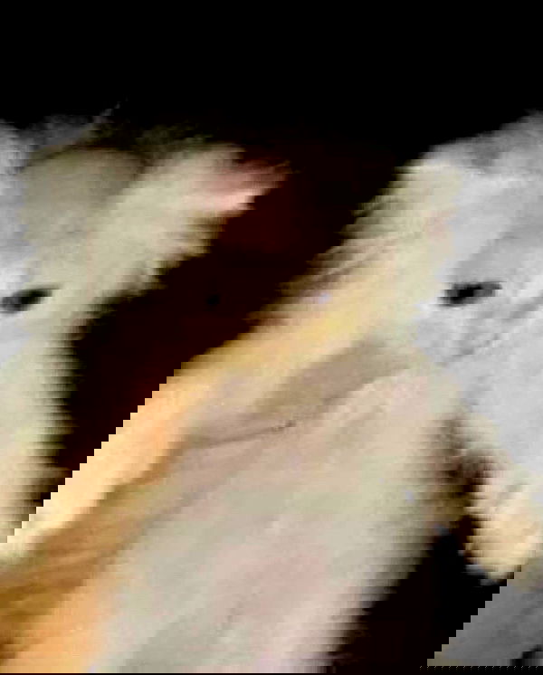 smashedely smashedely archive image