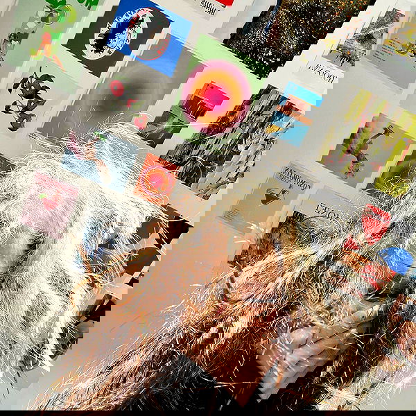 smashedely smashedely archive image