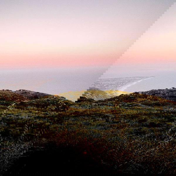 smashedely smashedely archive image