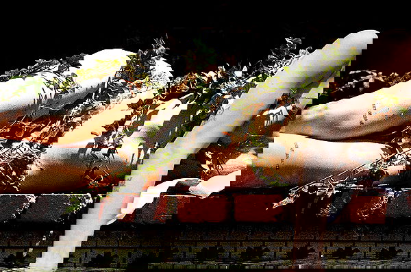 smashedely smashedely archive image