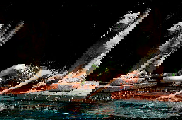 smashedely smashedely archive image