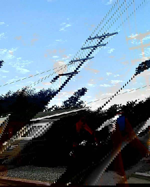 smashedely smashedely archive image