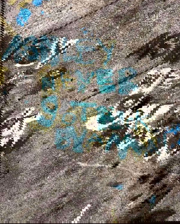 smashedely smashedely archive image