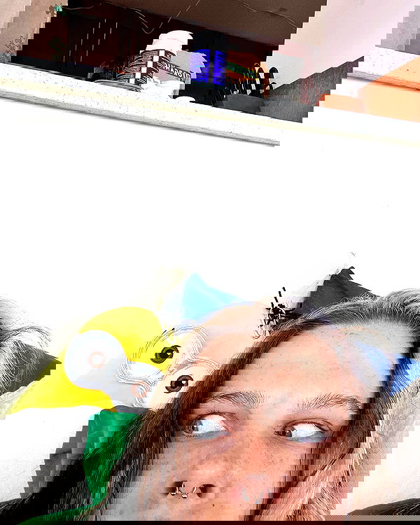 smashedely smashedely archive image