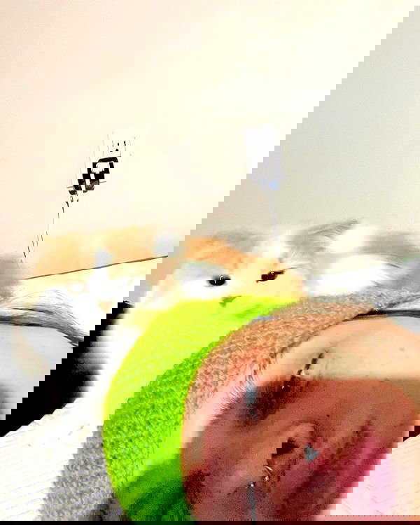 smashedely smashedely archive image