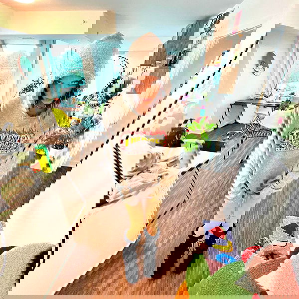 smashedely smashedely archive image