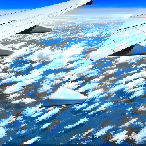 smashedely smashedely archive image