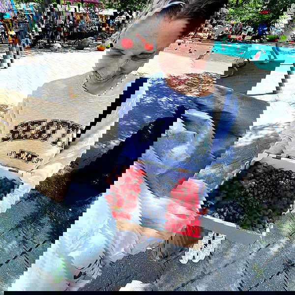 smashedely smashedely archive image