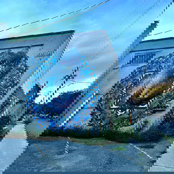 smashedely smashedely archive image