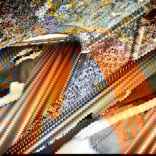 smashedely smashedely archive image